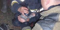 В серьезном пожаре в Астрахани сгорел дом с хозпостройками