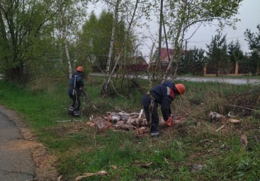 За последние сутки с улиц города было вывезено 55 кубометров мусора