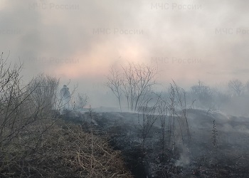 В амурском селе вспыхнула сухая трава