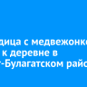 Медведица с медвежонком вышли к деревне в Эхирит-Булагатском районе