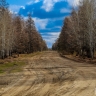 На ряде автодорог Якутии ограничили вес транспорта