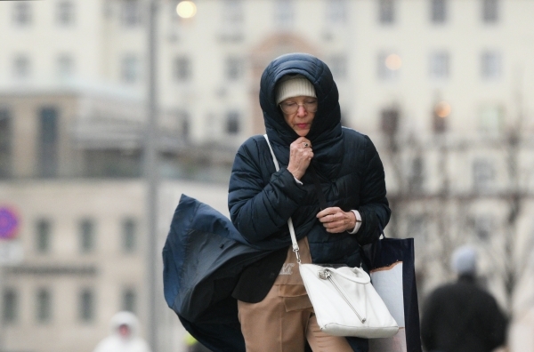 Москвичей предупредили об усилении ветра в ближайшие часы