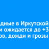 В выходные в Иркутской области ожидается до +37 градусов, дожди и грозы