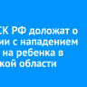 Главе СК РФ доложат о ситуации с нападением собаки на ребенка в Иркутской области