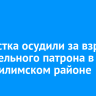 Подростка осудили за взрыв строительного патрона в Нижнеилимском районе