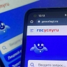 Обратиться в МВД онлайн помогут госуслуги