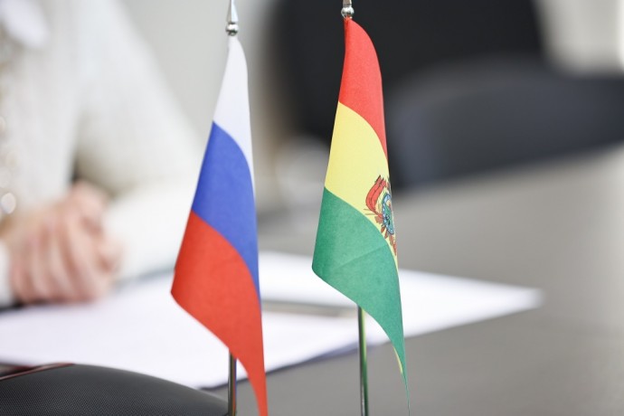 В Минпросвещения РФ обсудили шаги по укреплению сотрудничества между Россией и Боливией в сфере образования
