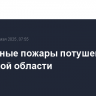 Все лесные пожары потушены в Иркутской области
