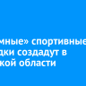 Три «умные» спортивные площадки создадут в Иркутской области