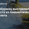 Петербуржец выстрелил в таксиста из пневматического пистолета