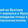 Летевший во Вьетнам самолет вернулся в Иркутск из-за попадания птицы в отсек стеклоочистителя
