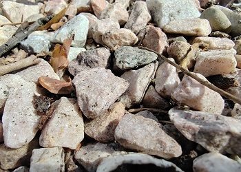 В Приамурье компания устроила карьер на сельхозучастке