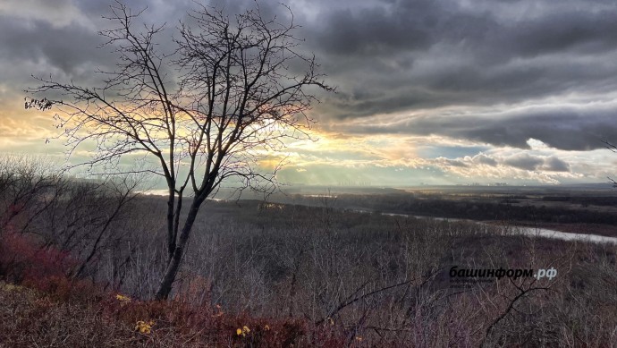 МЧС Башкирии предупредило граждан о гололедице и сильном ветре МЧС Башкирии предупредило граждан о гололедице и сильном ветре