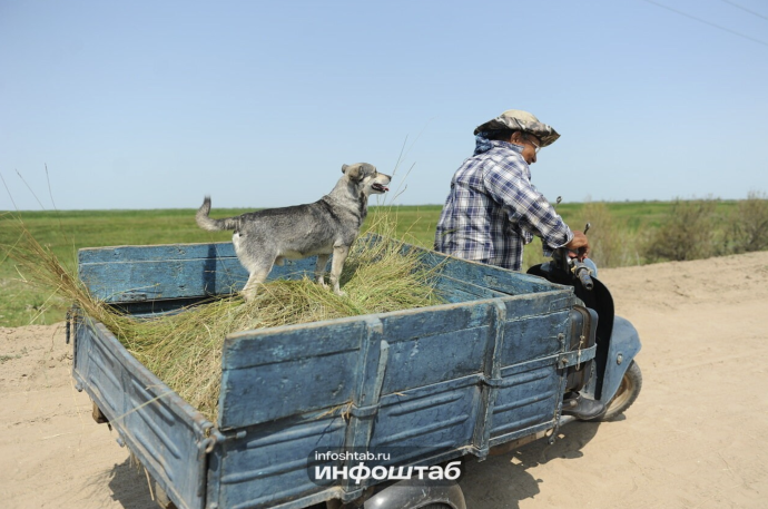 В астраханском селе скрывался дроппер В астраханском селе скрывался дроппер