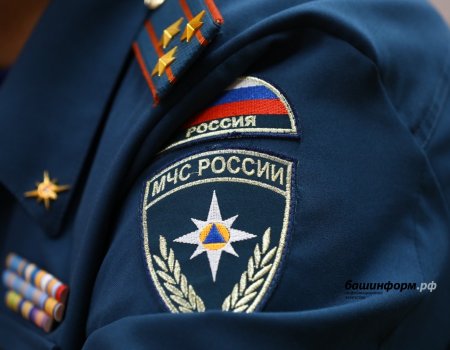 Жителям Башкирии посоветовали держать дома «экстренных» помощников