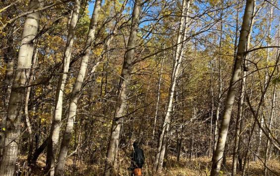 В Курской области подвели итоги пожароопасного сезона и оштрафовали нарушителей на 190 тысяч рублей В Курской области подвели итоги пожароопасного сезона и оштрафовали нарушителей на 190 тысяч рублей