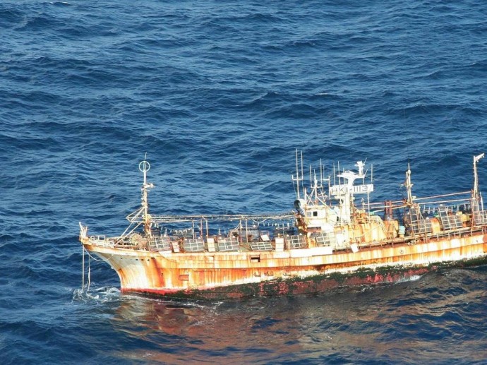 Больше трески, сельди и лосося: Россия значительно увеличила рыболовные показатели