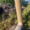 В Ровеньках пьяный водитель устроил ДТП – погиб пассажир