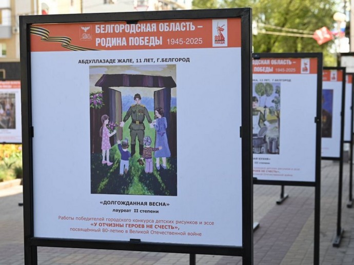В Белгороде открыли выставку работ победителей конкурса «У Отчизны героев не счесть»