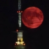 Над городами России взошла «клубничная» луна...