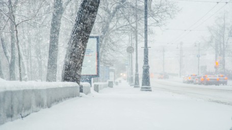 В Петербурге объявили «жёлтый» уровень опасности из-за снегопада и гололёда
