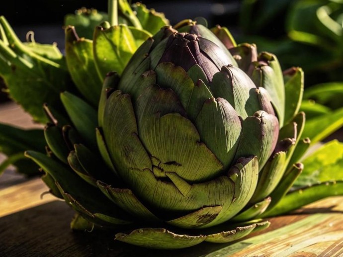 Растительный деликатес. 5 полезных свойств, которые есть у артишока Растительный деликатес. 5 полезных свойств, которые есть у артишока