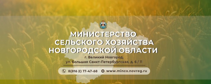 Владимир Татаренко — врио министра сельского хозяйства Новгородской области
