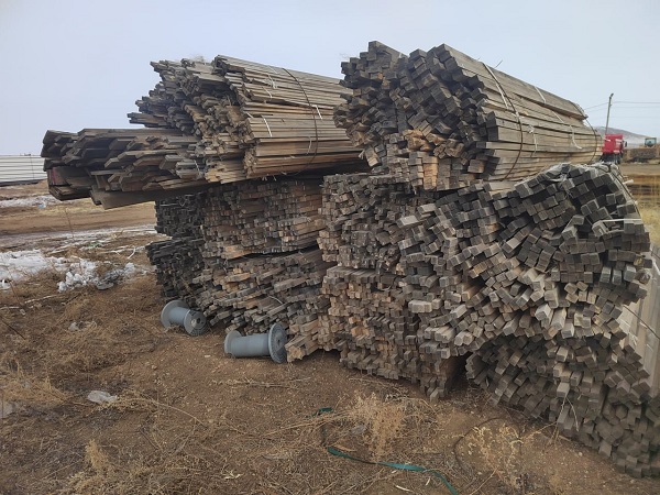 Бурятия оказалась замешана в контрабанде леса на миллиард рублей Бурятия оказалась замешана в контрабанде леса на миллиард рублей