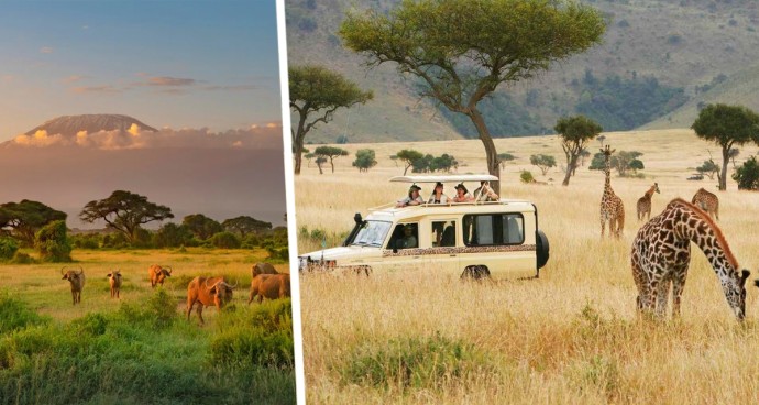 Число туристов, погибающих во время сафари, растёт: в этом винят искусственный интеллект и соцсети