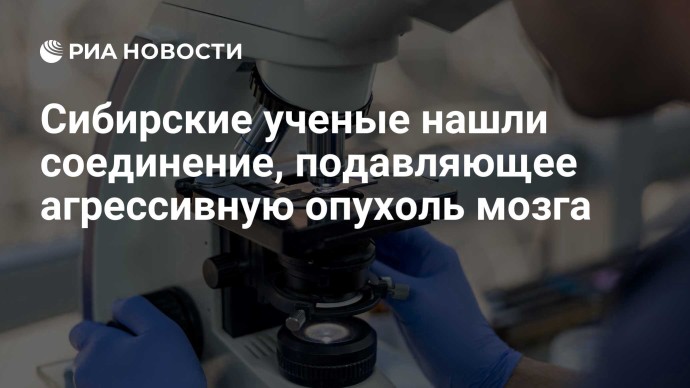 Сибирские ученые нашли соединение, подавляющее агрессивную опухоль мозга