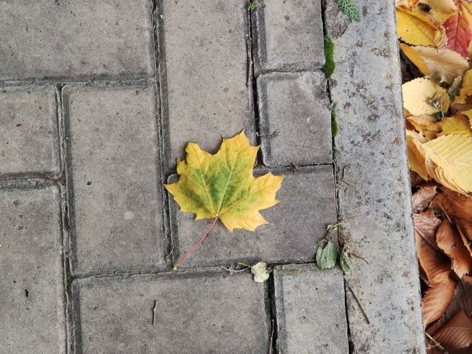 В Башкирии погода готовит неожиданный сюрприз В Башкирии погода готовит неожиданный сюрприз