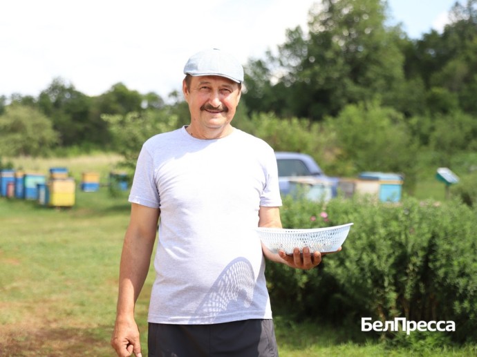 Деликатес на завтрак. Житель волоконовской Александровки разводит перепелов