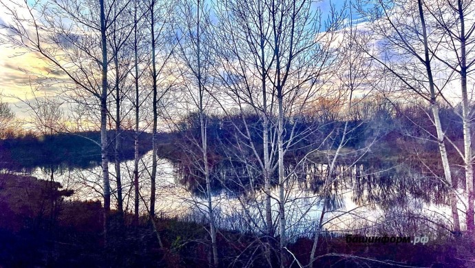 В Башкирии женщина пропала в лесу В Башкирии женщина пропала в лесу