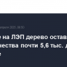 Упавшее на ЛЭП дерево оставило без электричества почти 5,6 тыс. домов на Урале