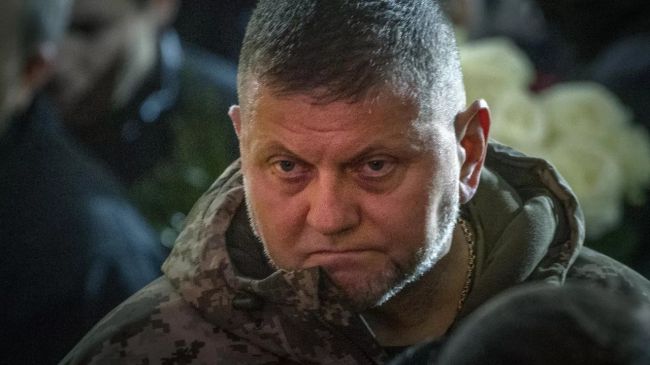 «5-й статьи нет и никогда не было» — Залужный сомневается в эффективности Устава НАТО