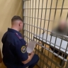 В Ленобласти арестовали пять человек по делу об отравлении суррогатным алкоголем