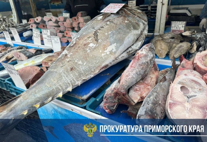 Во Владивостоке прокуратура взялась за предпринимателя, продававшего морепродукты без документов