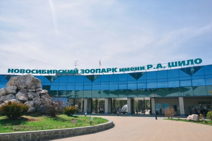 Новосибирский зоопарк планирует установить шлагбаумы