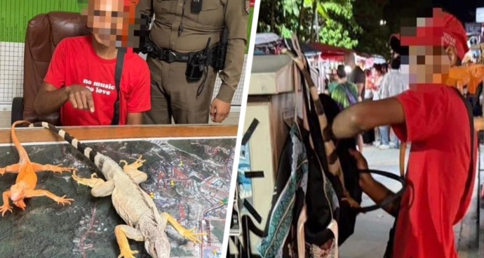 Тайский «звериный беспредел»: где российским туристам ждать развода на деньги?