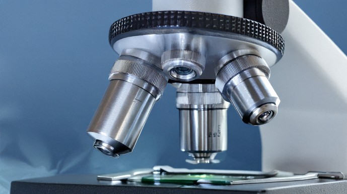 Ученые обнаружили вещество, способное бороться с раком груди