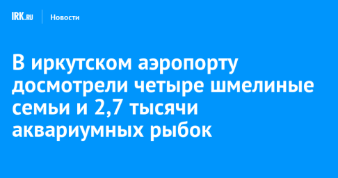 В иркутском аэропорту досмотрели четыре шмелиные семьи и 2,7 тысячи аквариумных рыбок