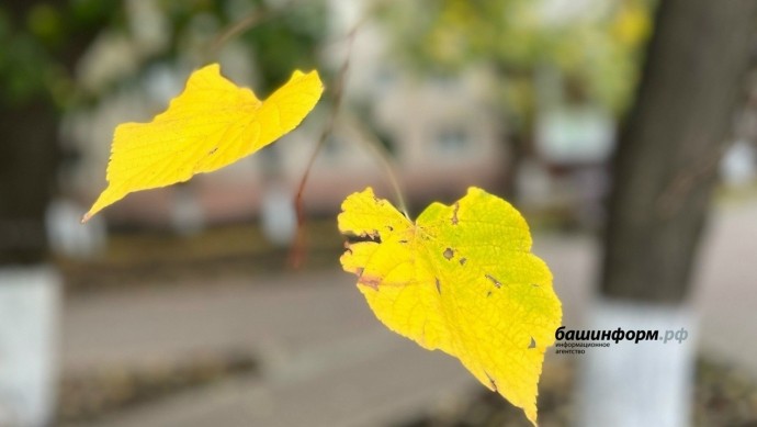 В Уфе побит температурный рекорд 60-летней давности В Уфе побит температурный рекорд 60-летней давности