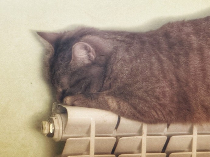 Кого из костромичей оставят без тепла: рассказываем