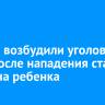 В Зиме возбудили уголовное дело после нападения стаи собак на ребенка