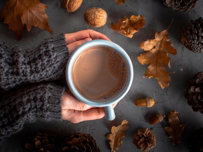 Природный энергетик: как жёлуди меняют представление о бодрости в коктейлях и кофе — новый вкус