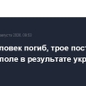 Один человек погиб, трое пострадали в Севастополе в результате украинской атаки
