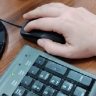 В Приамурье почти в три раза вырос спрос на IT-образование...