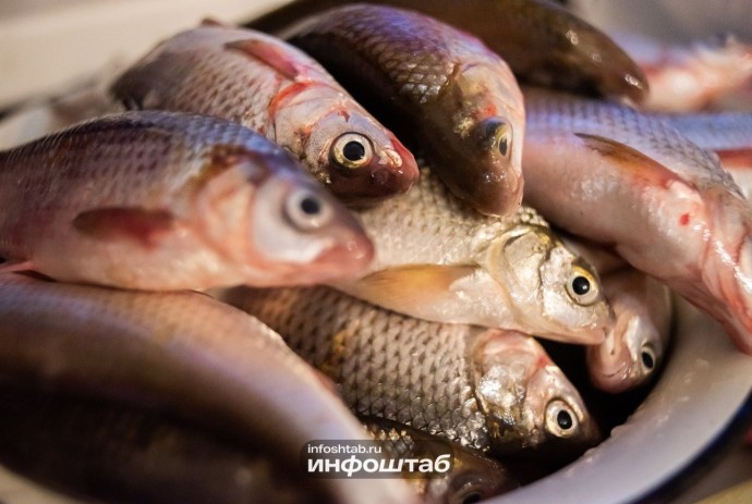 Запрет на вылов воблы в Астраханской области может продлиться до 2031 года