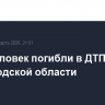 Пять человек погибли в ДТП в Белгородской области