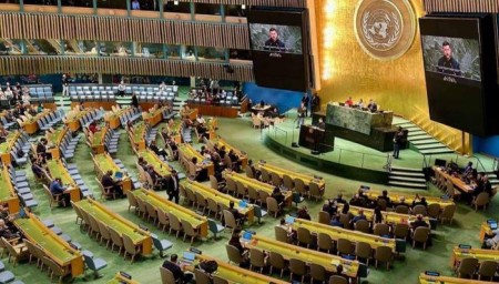 Пустой зал не вопрос: Почему Зеленского не арестовали в США? — депутат Рады